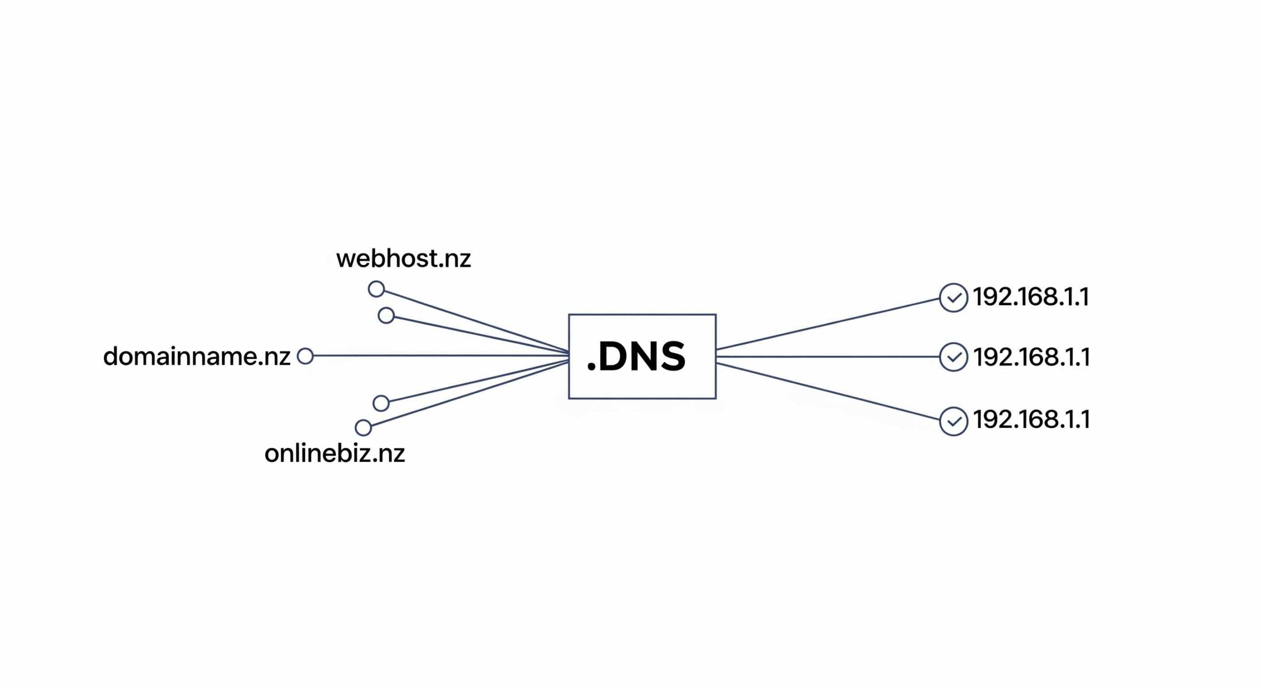 DNS-explanation A clean, minimalist diagram illustrating the Domain Name System (DNS) process. On the left, three fictional .nz domain names (webhost.nz, domainname.nz, onlinebiz.nz) are connected by lines to a central box labeled ".DNS". From the .DNS box, lines extend to the right, connecting to three generic IP addresses (192.168.1.1), each with a checkmark, visually representing domain names being mapped to IP addresses.